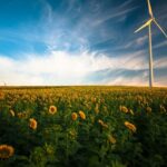 Tecnologia, ecco le app che aiutano l’ambiente