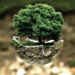 green ecologico