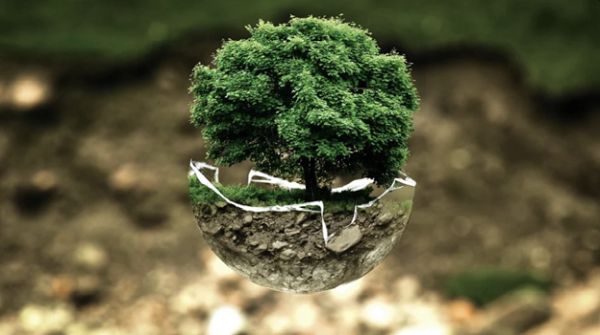 green ecologico