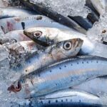 Pesce Azzurro: guida, benefici e proprietà