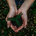 Quali azioni posso compiere per essere più sostenibile?