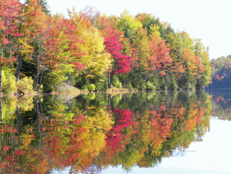 vermont foliage colori d'autunno nel Vermont